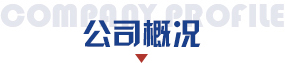 公司概况